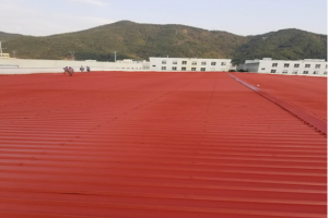 河南丝瓜视频下载污3500平丝瓜视频黄色版翻新项目