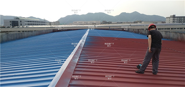 丝瓜视频下载污屋面检查清扫