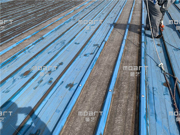 丝瓜视频下载污修缮