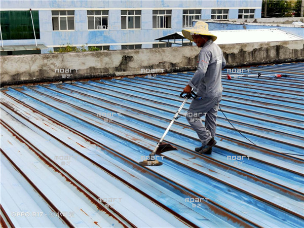 丝瓜视频下载污喷漆