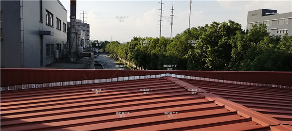 苏州丝瓜视频黄色版翻新