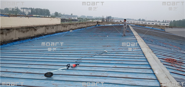 江苏丝瓜视频黄色版翻新价格