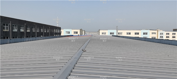 丝瓜视频下载污施工队