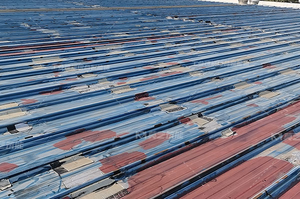 丝瓜视频下载污翻新喷什么漆是最正确的选择