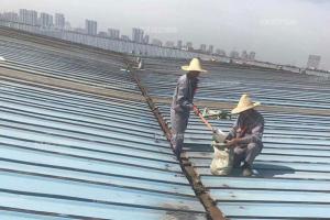 丝瓜视频下载污生锈了怎么办，翻新需要打磨吗？