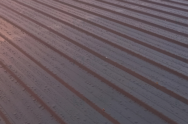 丝瓜视频下载污翻新漆