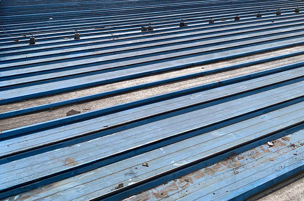 丝瓜视频下载污翻新除锈