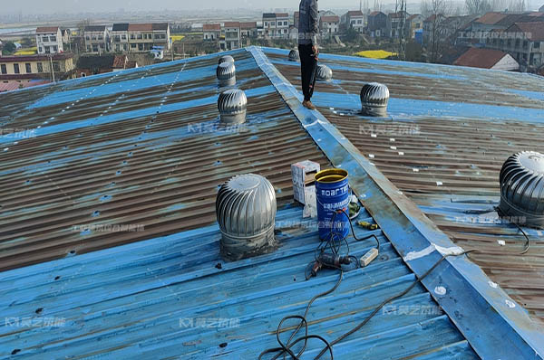 丝瓜视频下载污翻新修缮