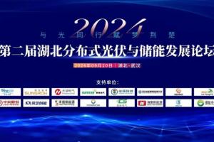丝瓜视频在线观看应邀参加第二届湖北分布式光伏与储能发展论坛